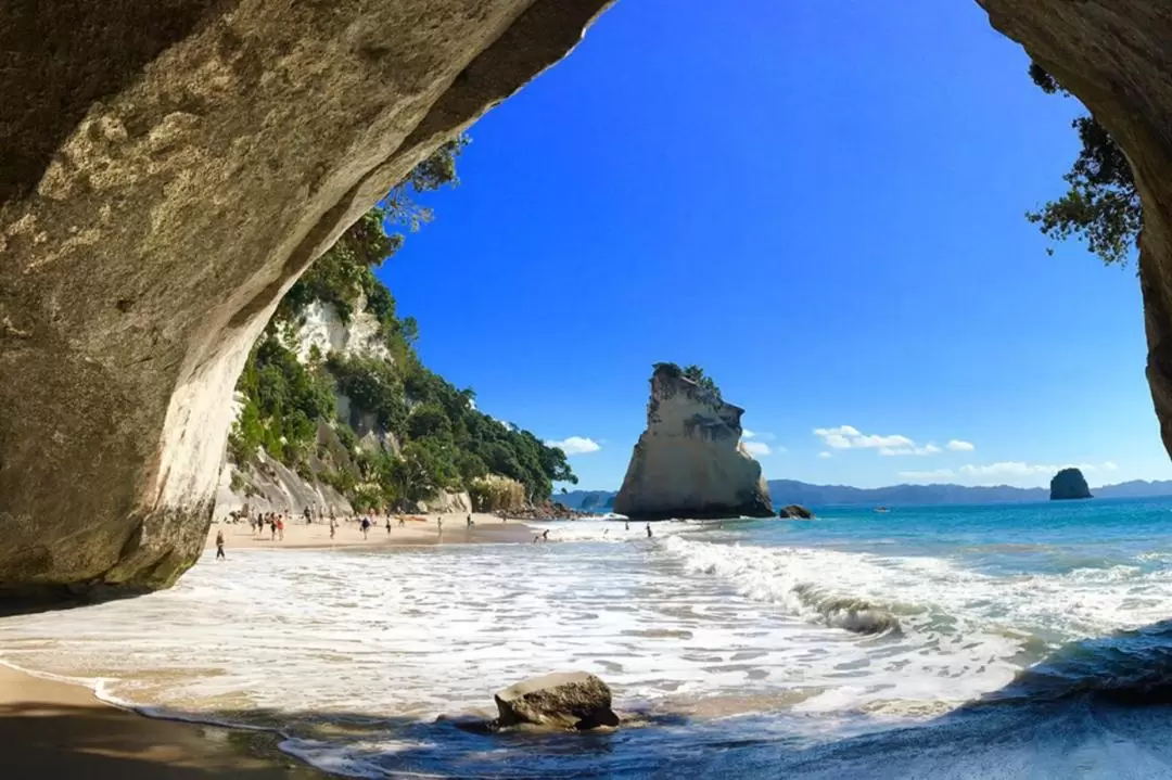 Coromandel Peninsula Highlights Small Group Tour from Auckland