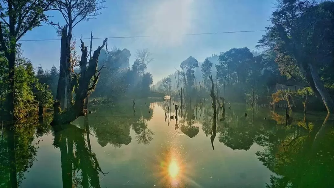 5D4N Hoang Su Phi - Bac Ha Tour from HCMC with Vietnamese Guide