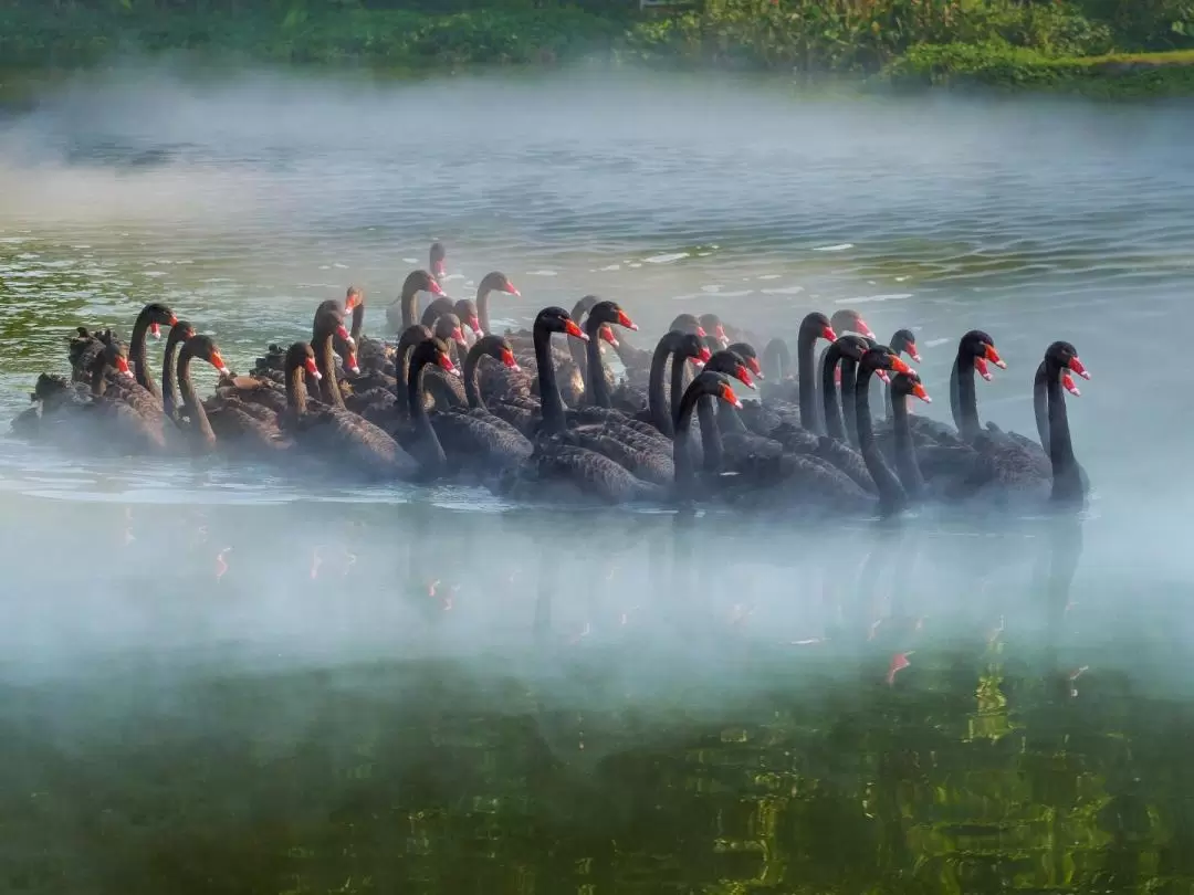 Chimelong Birds Park Guangzhou