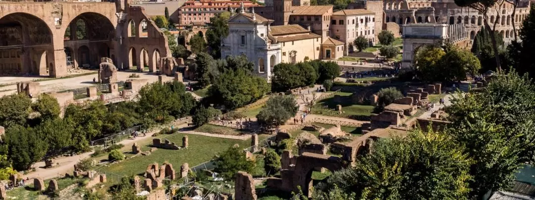 Colosseum and Best of Rome Walking Tour Combo