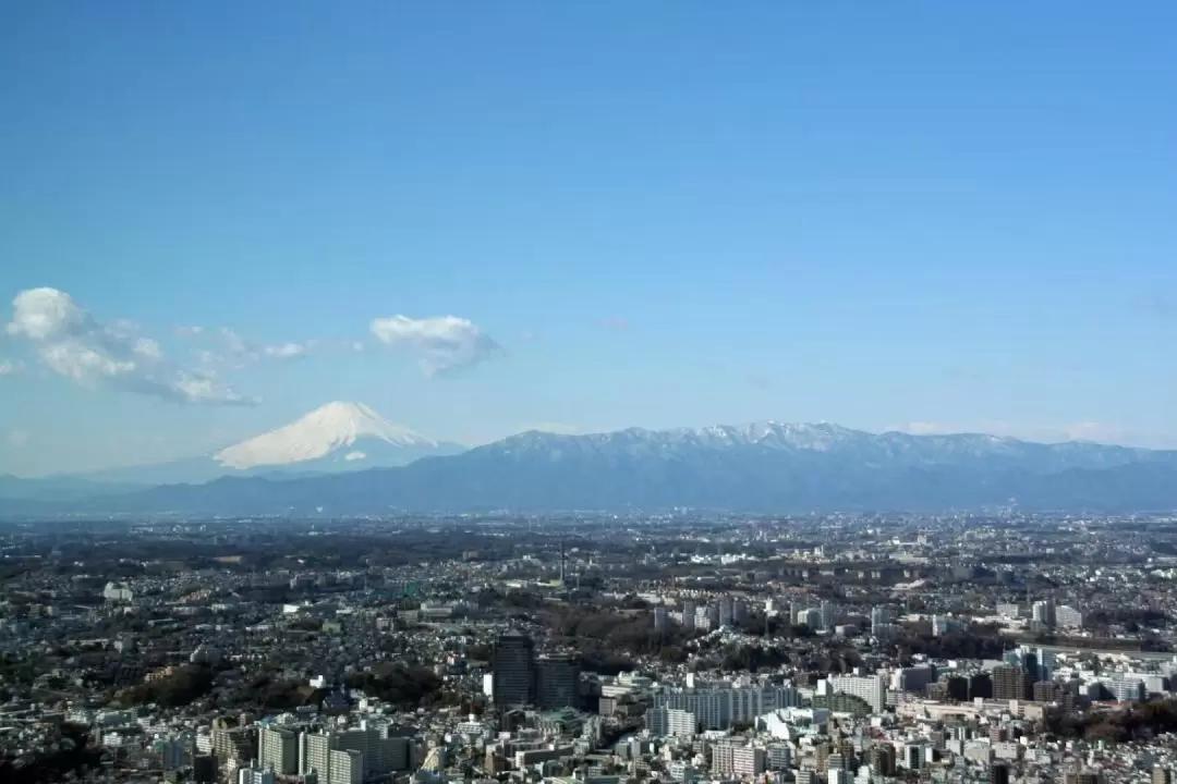 横浜ランドマークタワー スカイガーデン チケット（横浜）