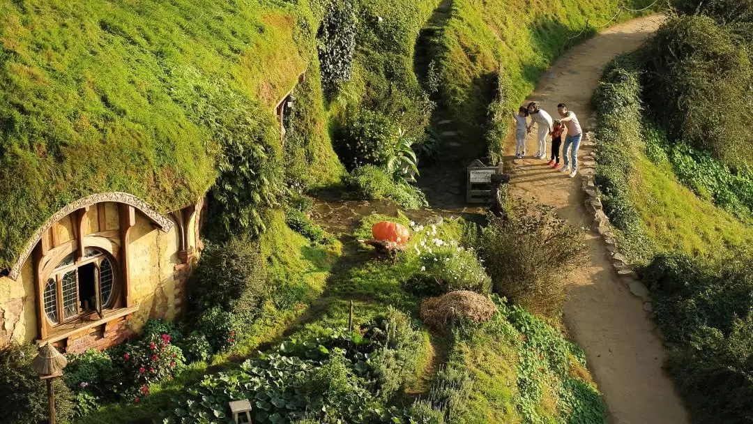 Hobbiton Day Tour from Rotorua with Optional Te Puia Admission