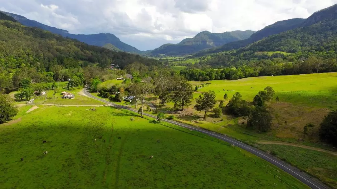 Natural Bridge and Springbrook Waterfalls Tour from Gold Coast