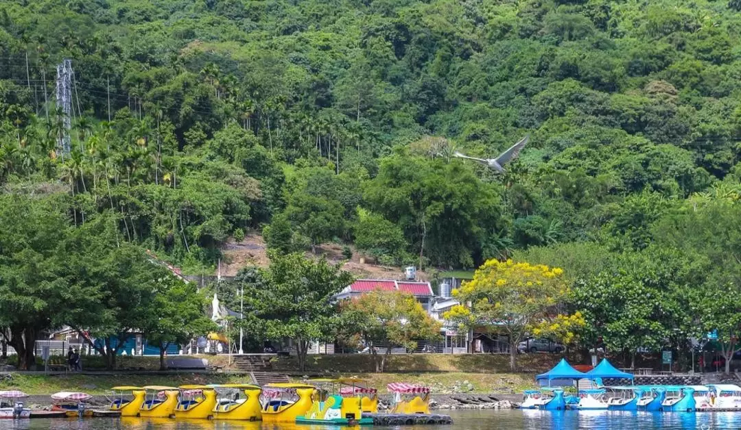 Pedal Boat Experience at Liyu Lake in Hualien