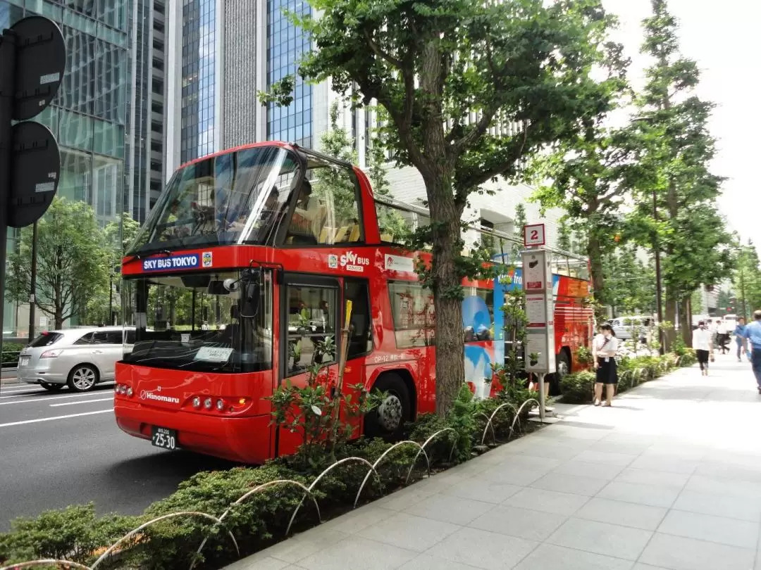 東京隨上隨下觀光巴士票（Skyhop Bus 提供）