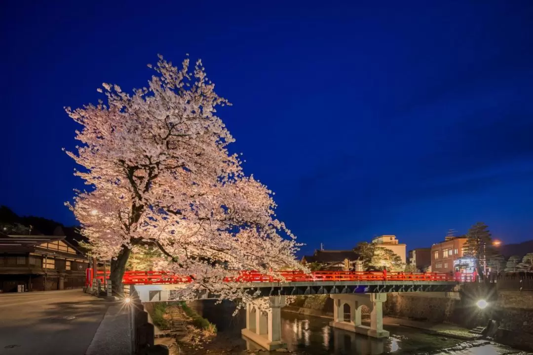 Takayama Night Tour