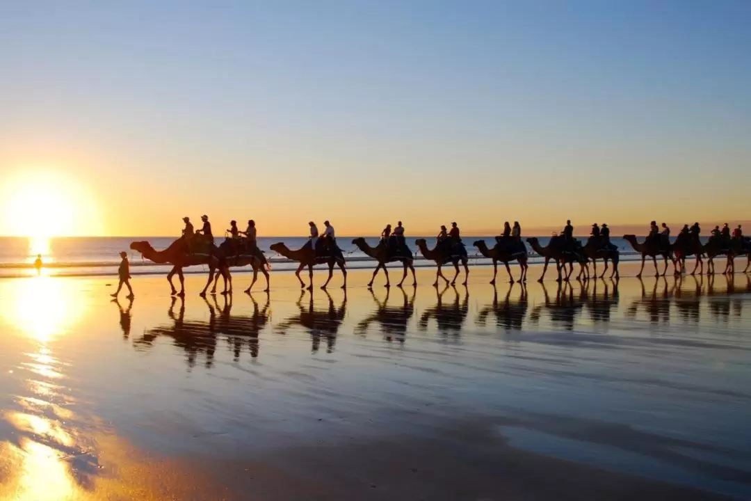 Camel Ride Experience in Djerba