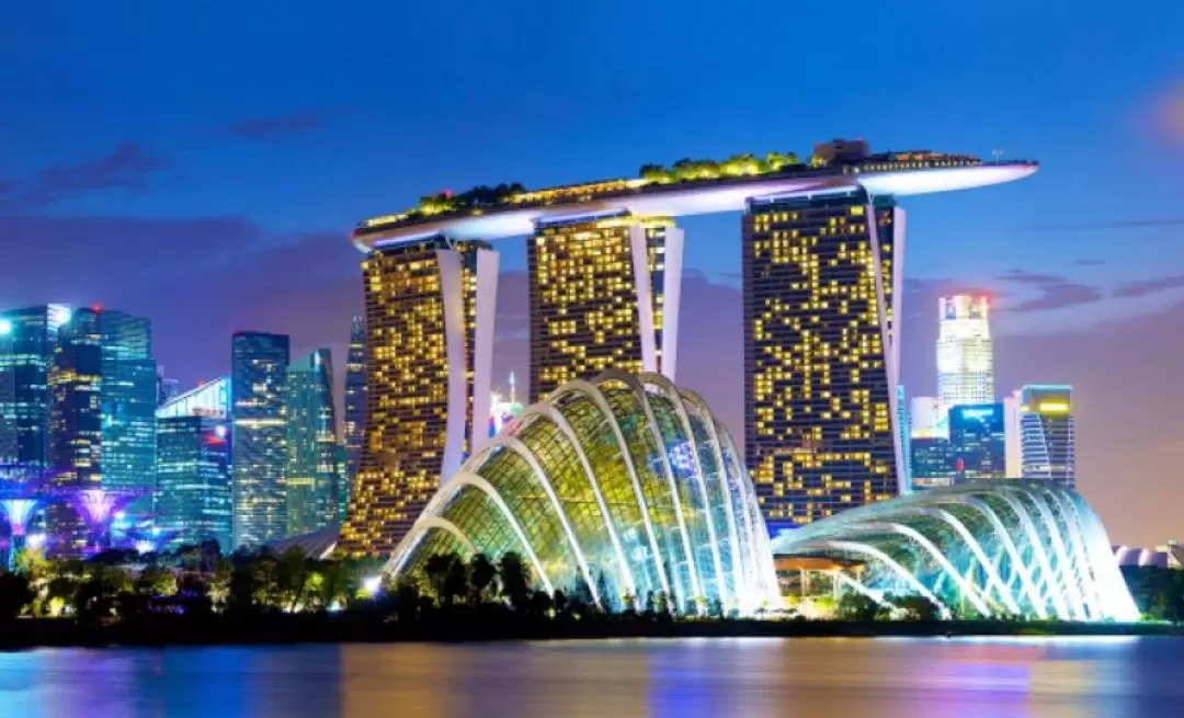 Singapore Private City Tour by Vimo Services