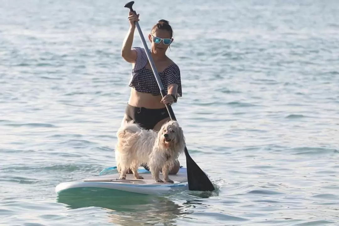 Surfing Lesson by Beyond Surf Kata Phuket