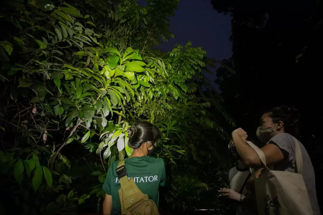 Naturalist Night Adventure by The Untamed Paths