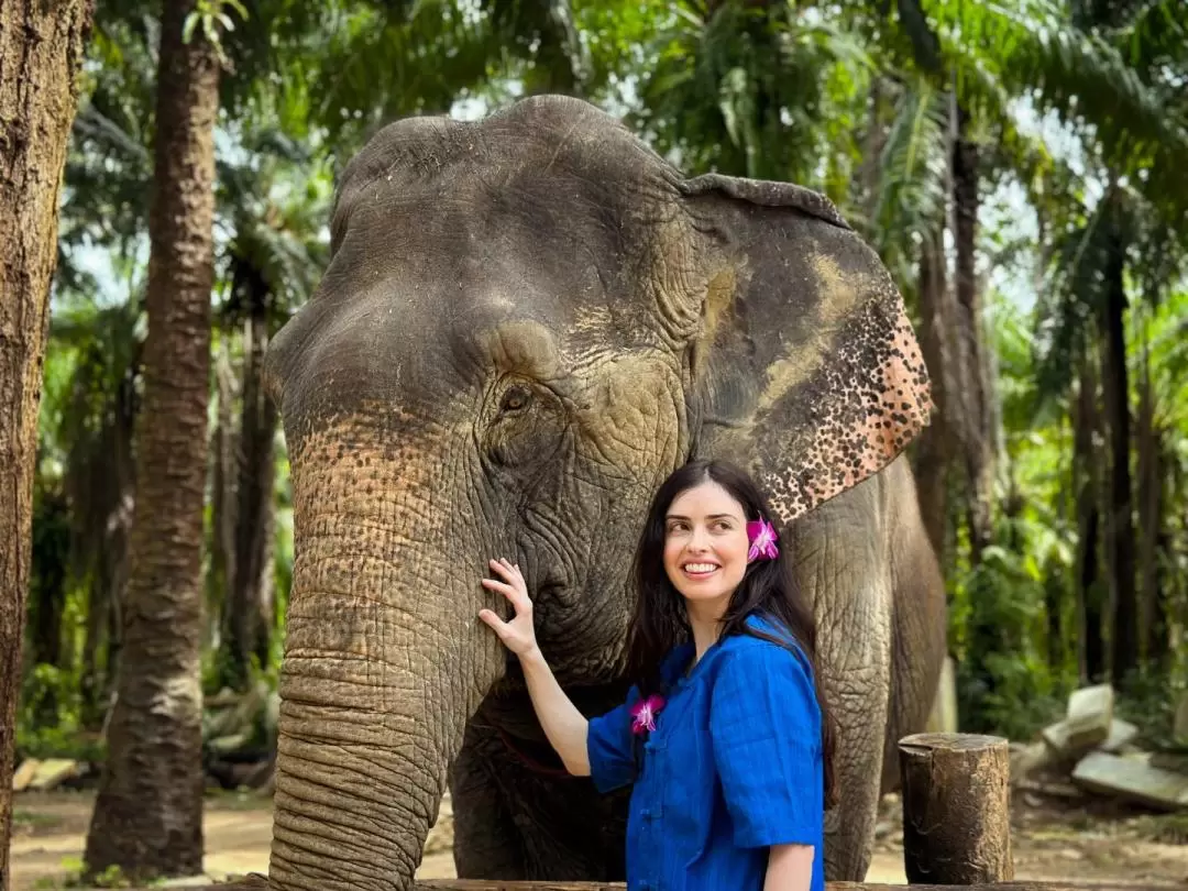 甲米大象保護區（Krabi Elephant Shelter）體驗