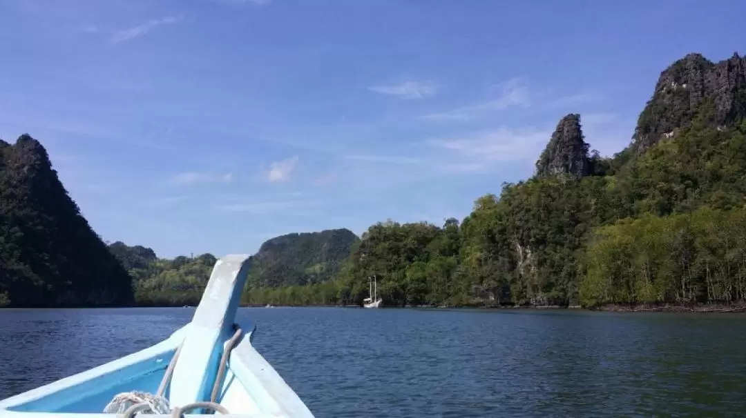 蘭卡威紅樹林私人遊船之旅（含接送 & 餐點）