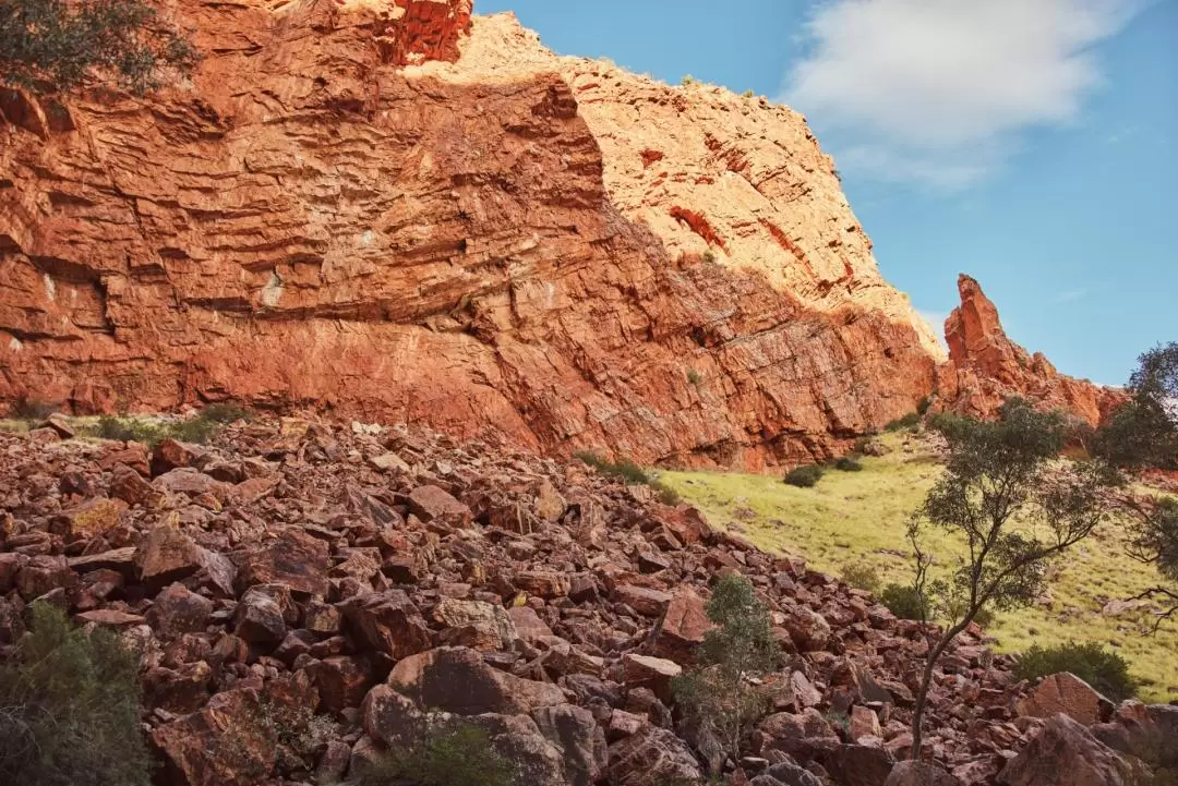 Best of Alice Springs Day Tour