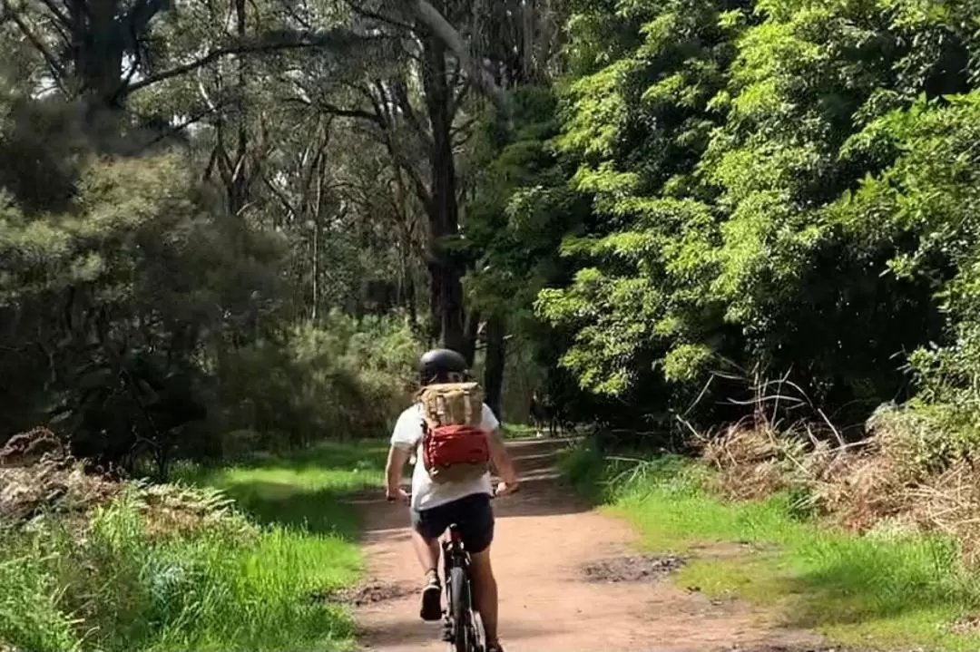 紅山鐵路步道自行車騎行＆野餐半日遊