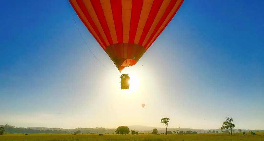 Hot Air Balloon, Meet Alpaca's and Vineyard Breakfast in Gold Coast