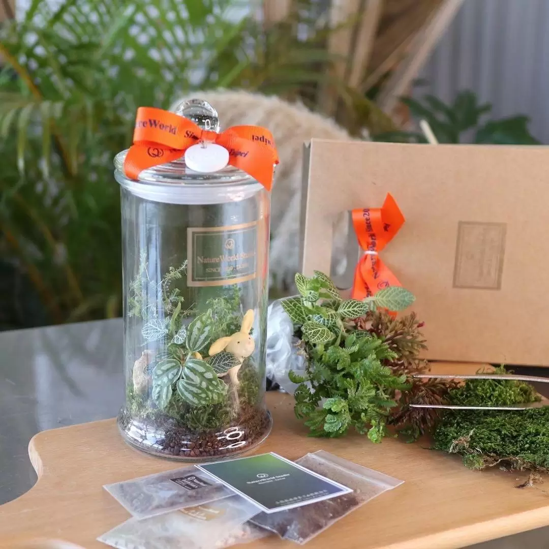 Pingtung: DIY Handmade Experience (Plant Eco Bottle / Green Plant Planet)