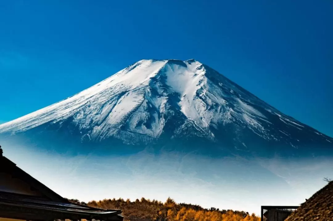 富士山 & 箱根私人一日遊（東京出發）