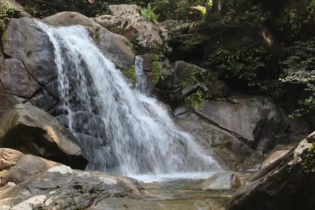 Gunung Gading National Park Day Tour in Sarawak