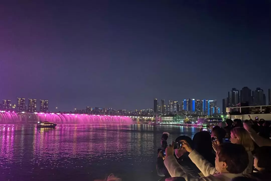 Seoul Han River Guided Night Cruise and Hangang Park Picnic