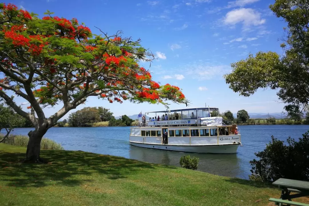 Tweed River and Rainforest Lunch Cruise Experience