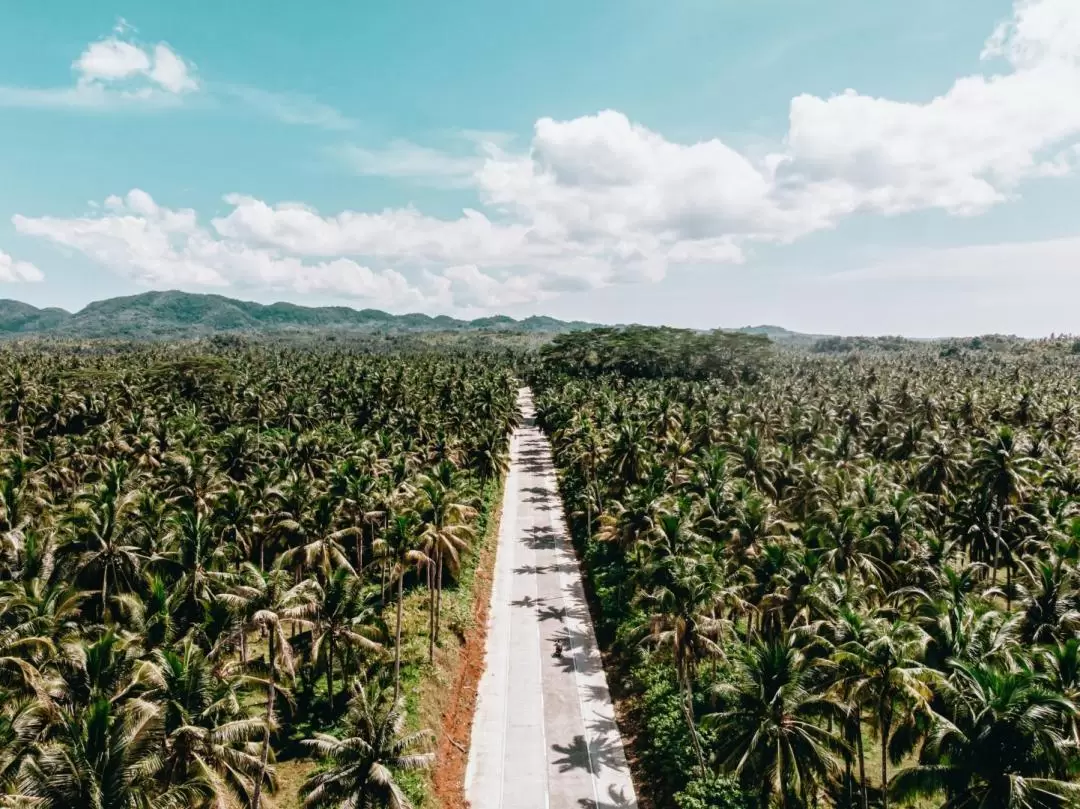 Budget Land Tour in Siargao