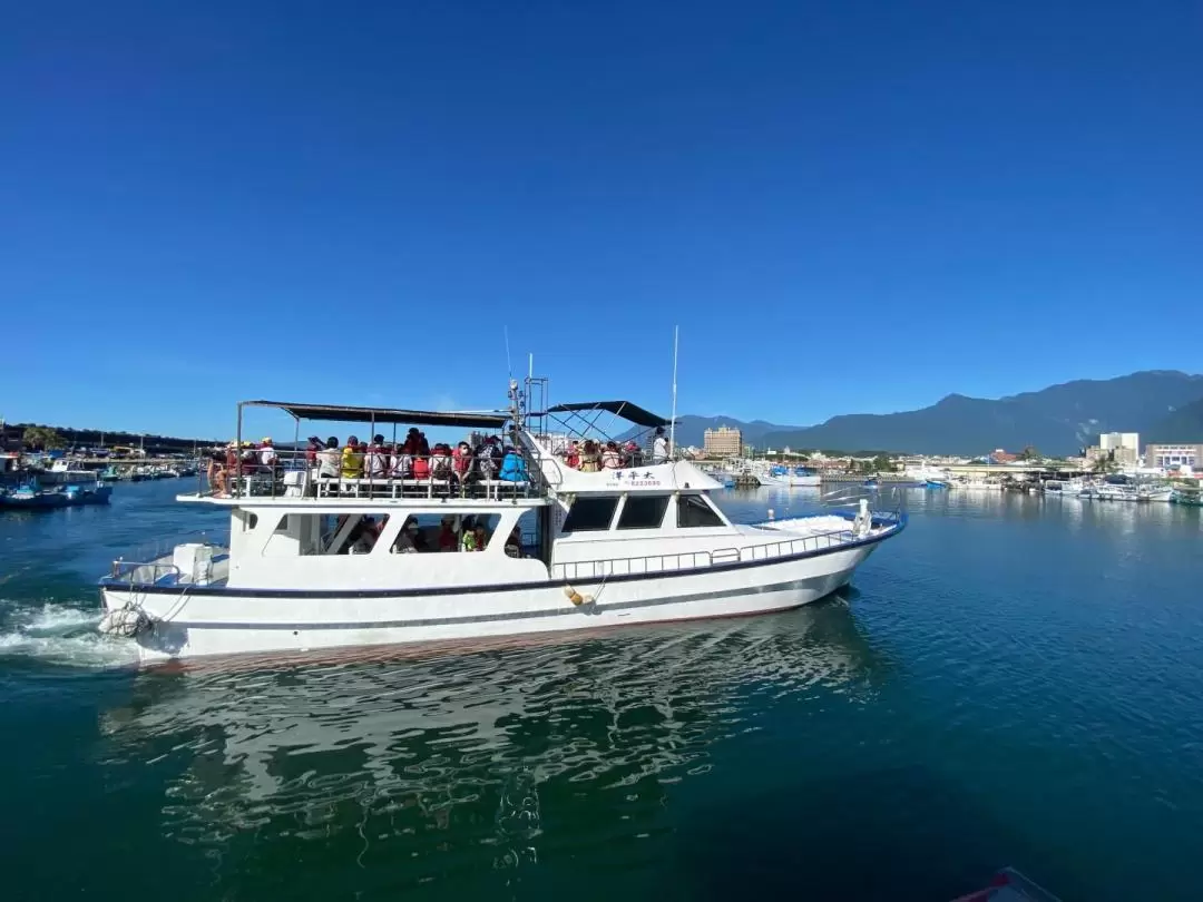 Hualien Whale-Watching Tour by Pacific Whale