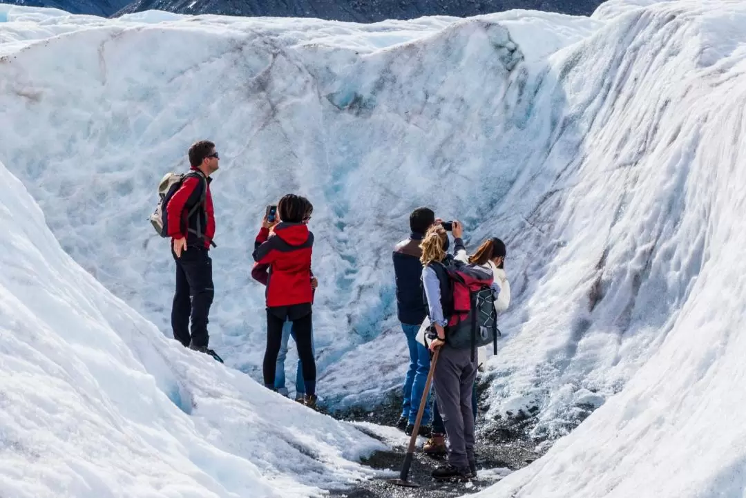 Heli Hike the Tasman Glacier with Alpine Guides