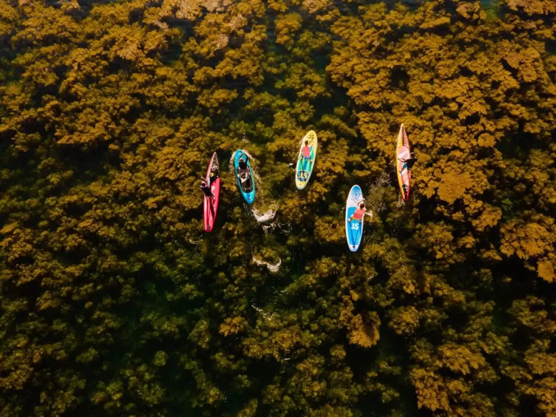 Half-day Private SUP Tour in Quy Nhon