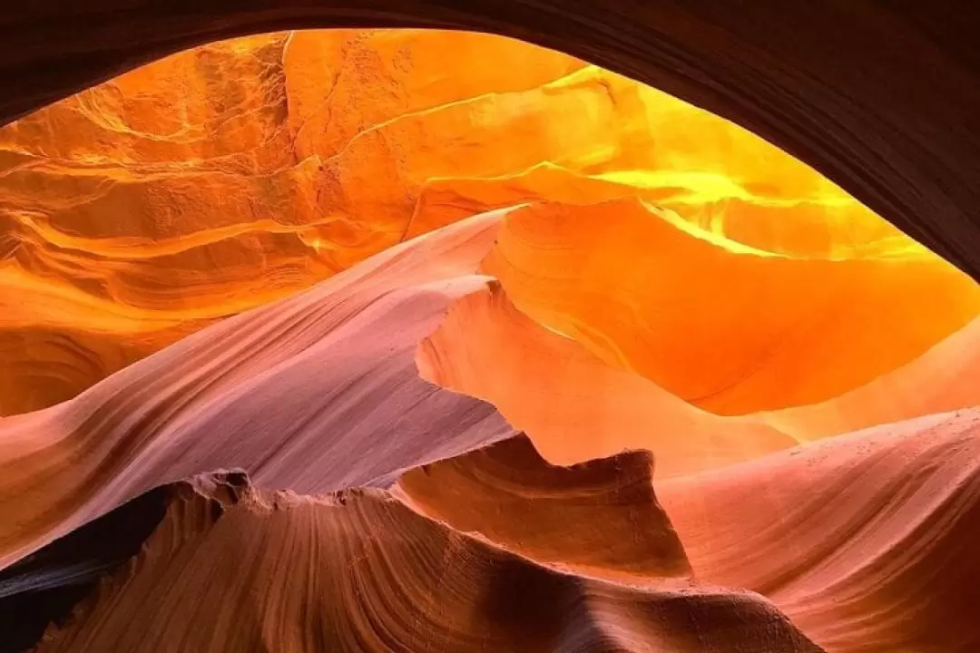 Lower Antelope Canyon, Horseshoe Bend, & Lake Powell with Lunch Day Tour