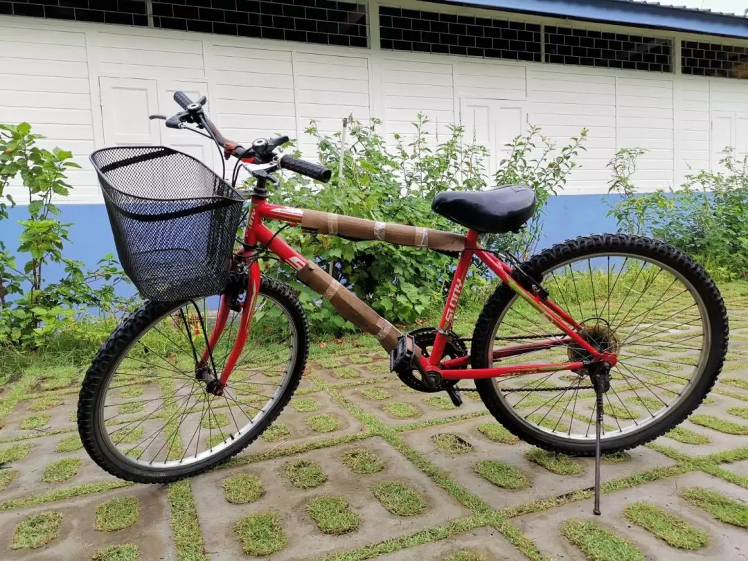 Bicycle Rental at Pulau Ubin