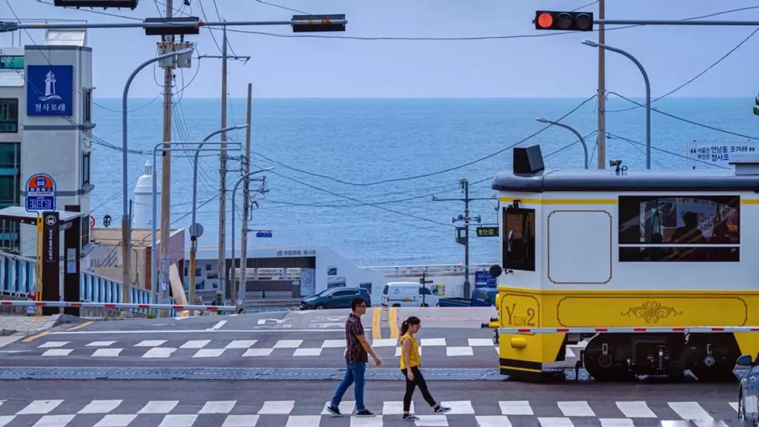 釜山・慶州 日帰りツアー（釜山発）