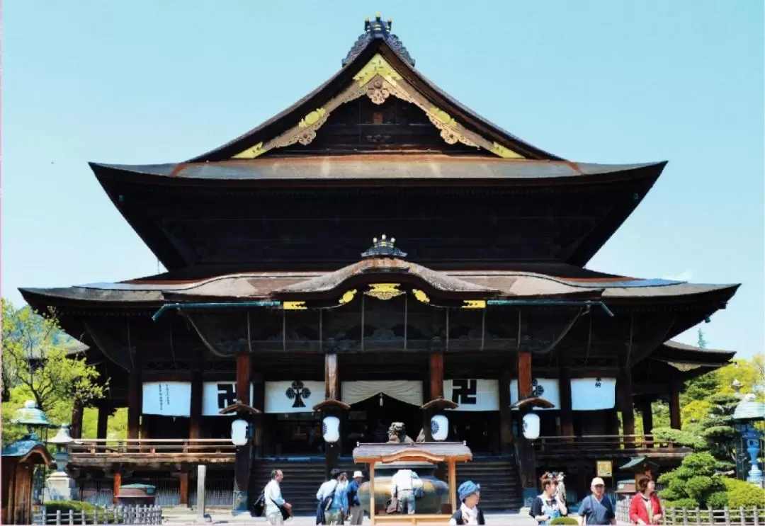 Nagano Snow Monkey Park and Zenko-ji Temple Day Tour with Sake Tasting