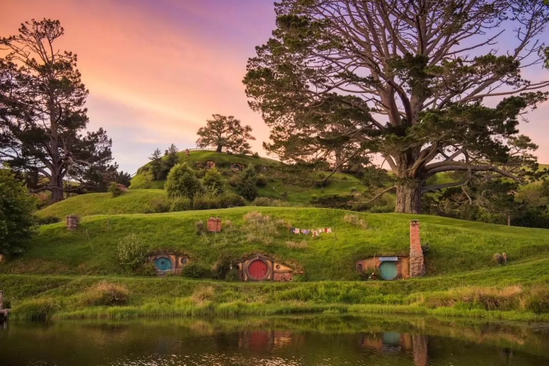 Hobbiton Movie Set Guided Tour 