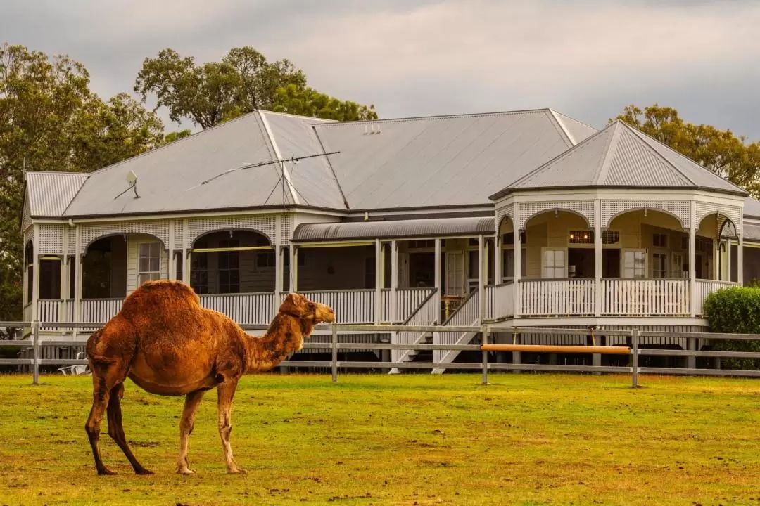 Scenic Rim Farm, Food & Wine Day Tour in Gold Coast