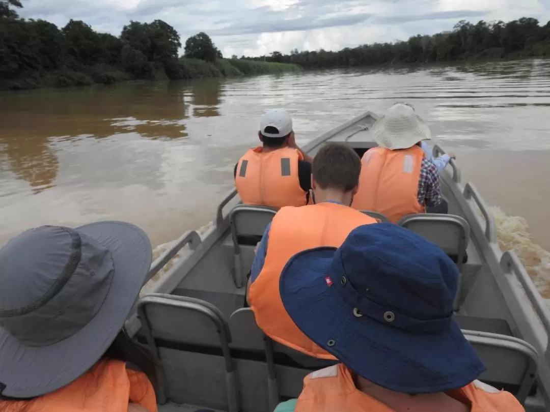 3D2N Discover Kinabatangan River with stay at Bilit Adventure Lodge in Sandakan