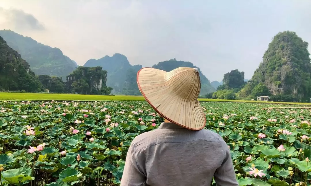 Hoa Lu, Tam Coc/Trang An, and Mua Cave Day Tour from Hanoi 