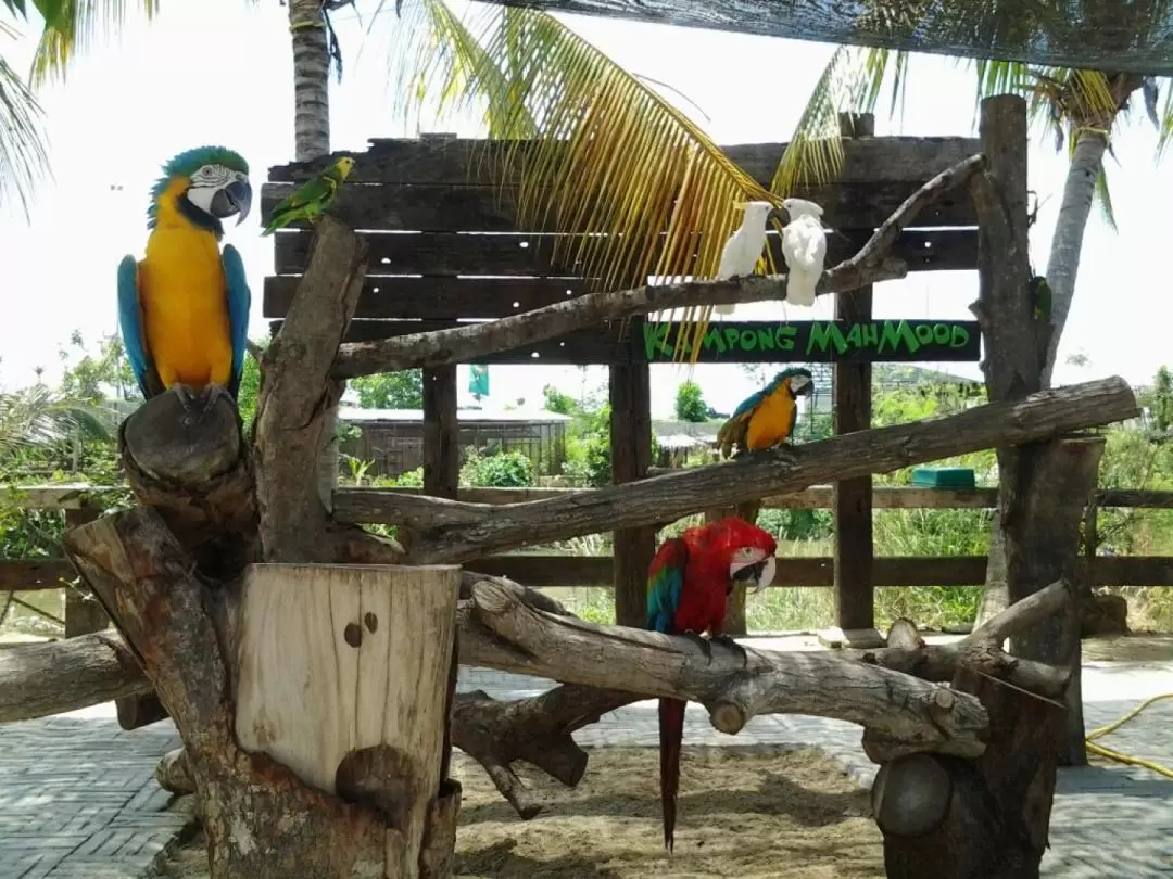 ファームインザシティ 入園チケット