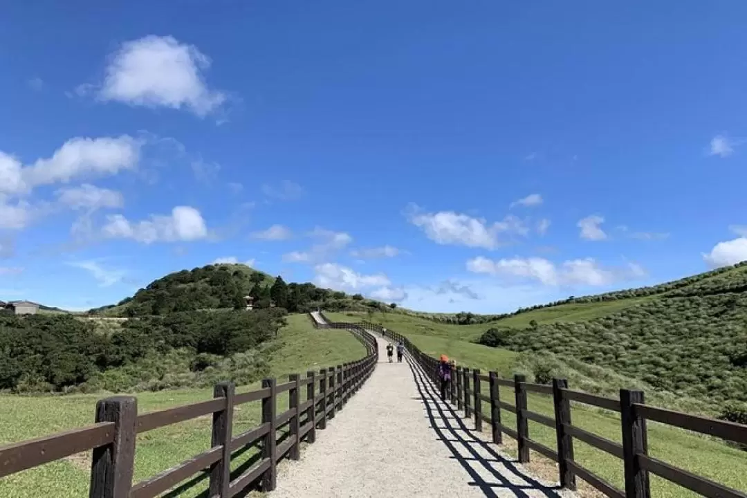 台北: 陽明山火山半日遊 (私人導覽)