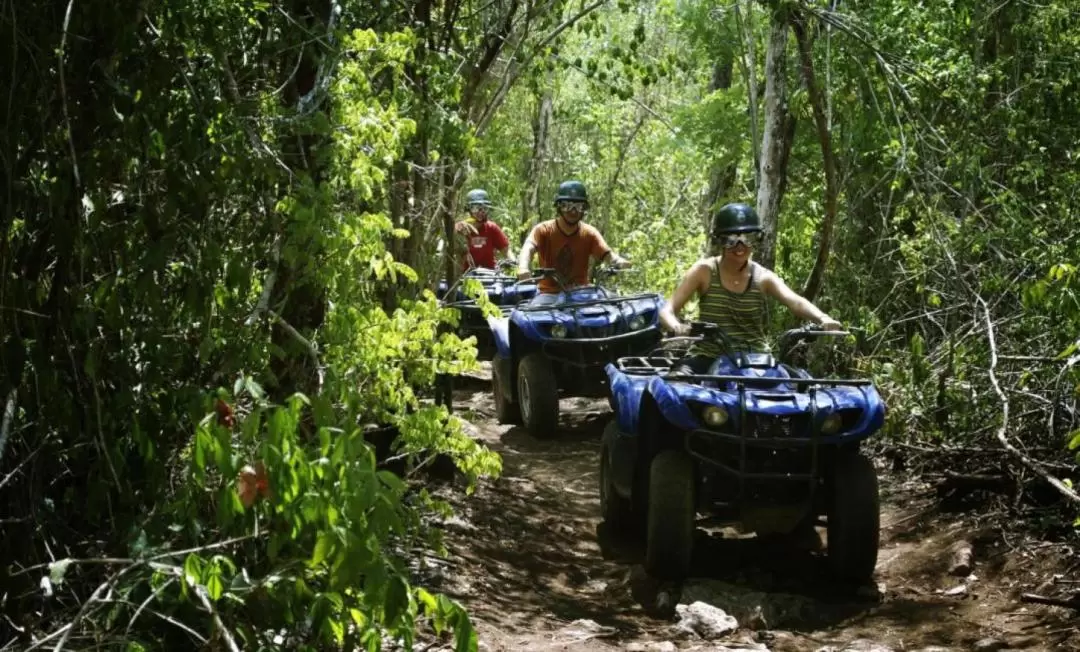 Horse Riding Combo Experience in Bali