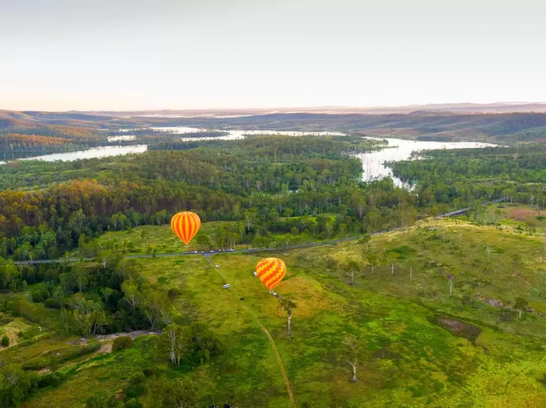 Hot Air Balloon, Meet Alpaca's and Vineyard Breakfast in Gold Coast