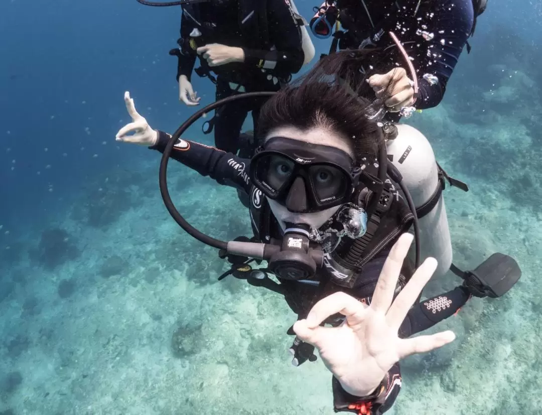 藍夢島PADI五星級IDC水肺潛水體驗