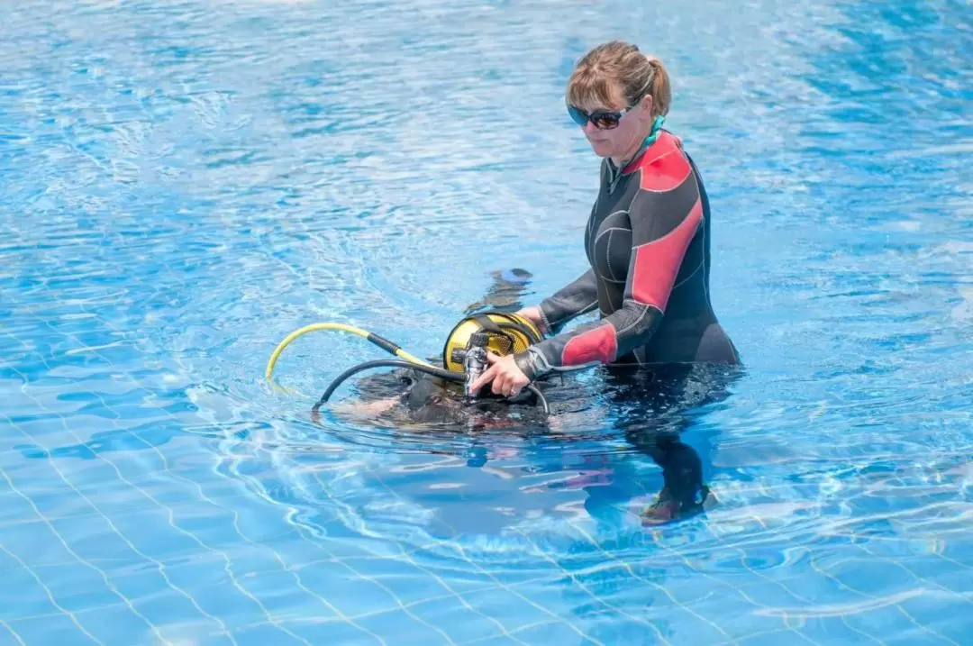 ペニダ島 1日ダイビングツアー（バリ / PADI 5スターダイブセンター）