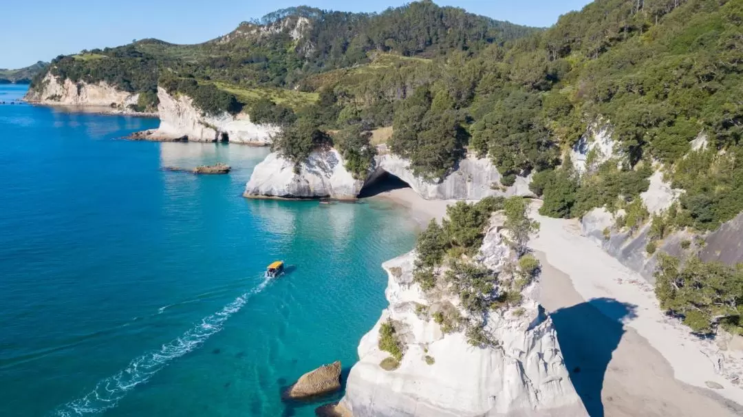 Glass Bottom Boat Cruise at Cathedral Cove in New Zealand