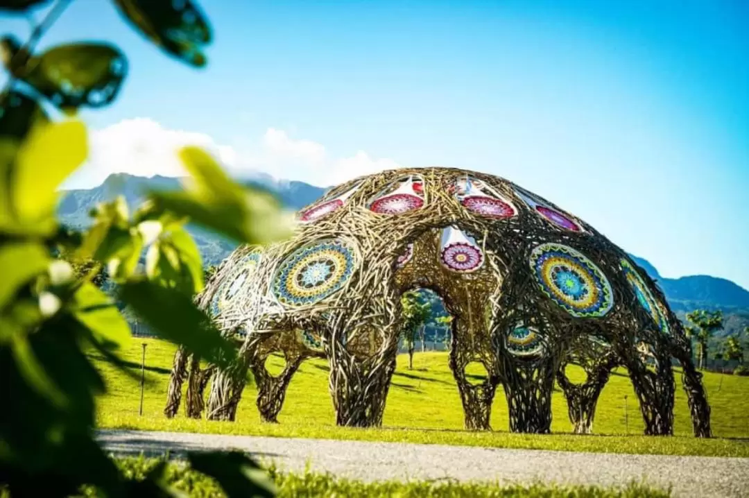 East Rift Valley Land Art Festival Day Tour in Taitung