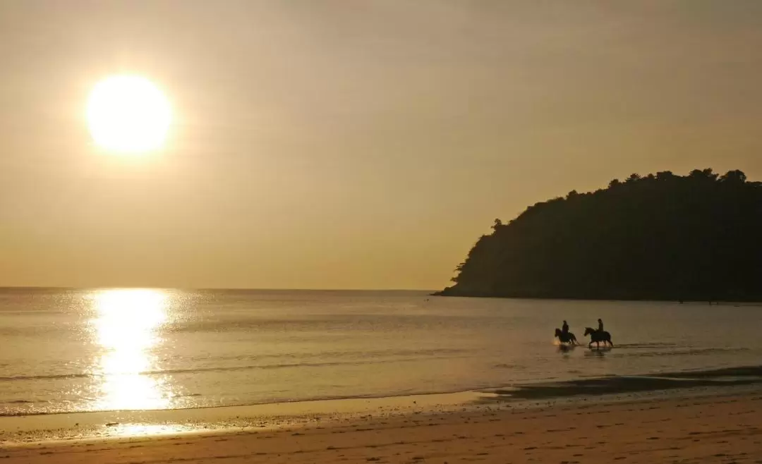 Horseback Riding Experience in Phuket