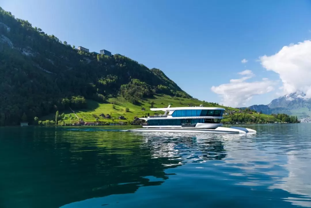 Lucerne and Burgenstock Tour from Zurich