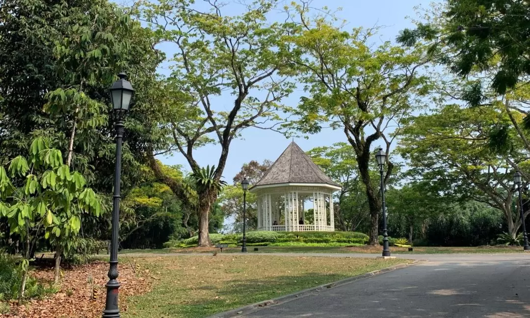 Singapore Signature Guided Walking Tour