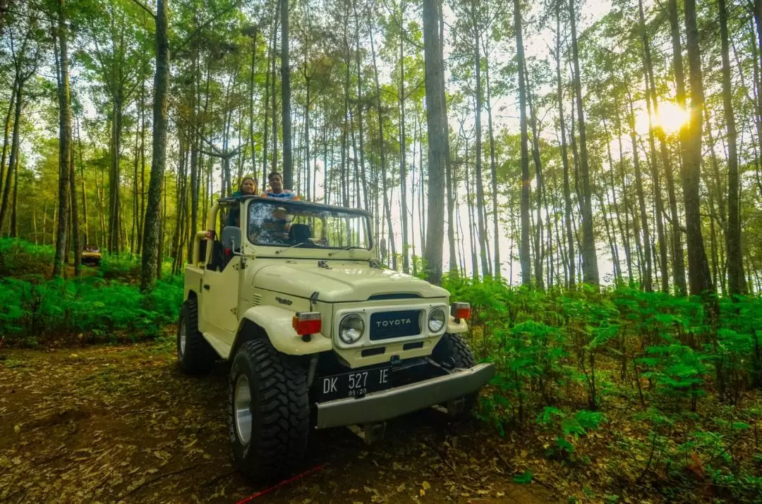 Mount Batur Sunrise Experience by 4WD Jeep