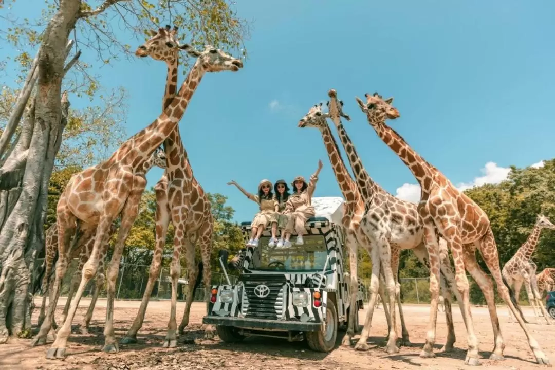 Kanchanaburi Safari Park and River Kwai Bridge Day Tour