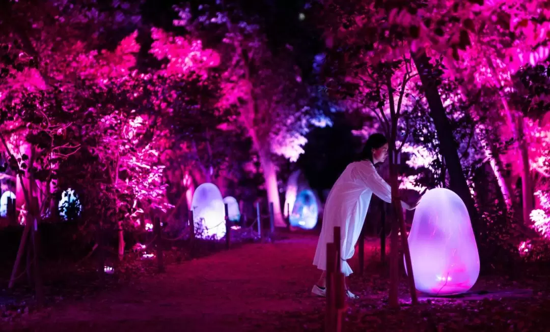 大阪長居植物園 teamLab Botanical Garden Osaka 門票